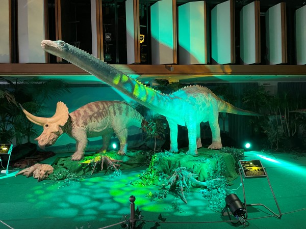 恐竜展の展示照明